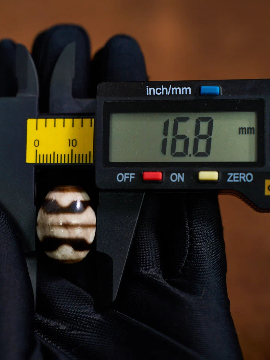 Serene Lotus Guardian Shale Darlo Agate Dzi Bead